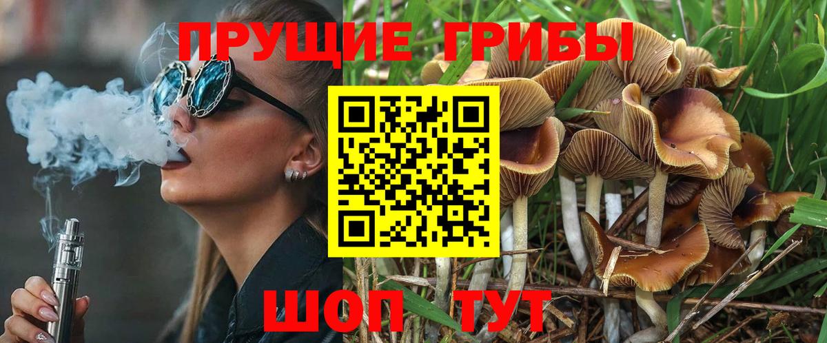Новосибирск  Псилоцибиновые грибы MAGIC MUSHROOMS  Вход с VPN 