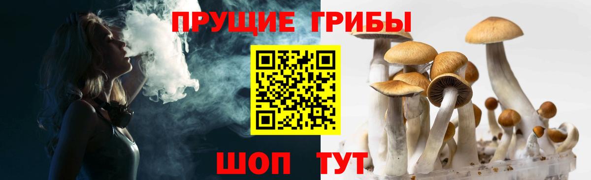 Псилоцибиновые грибы MAGIC MUSHROOMS Новосибирск
